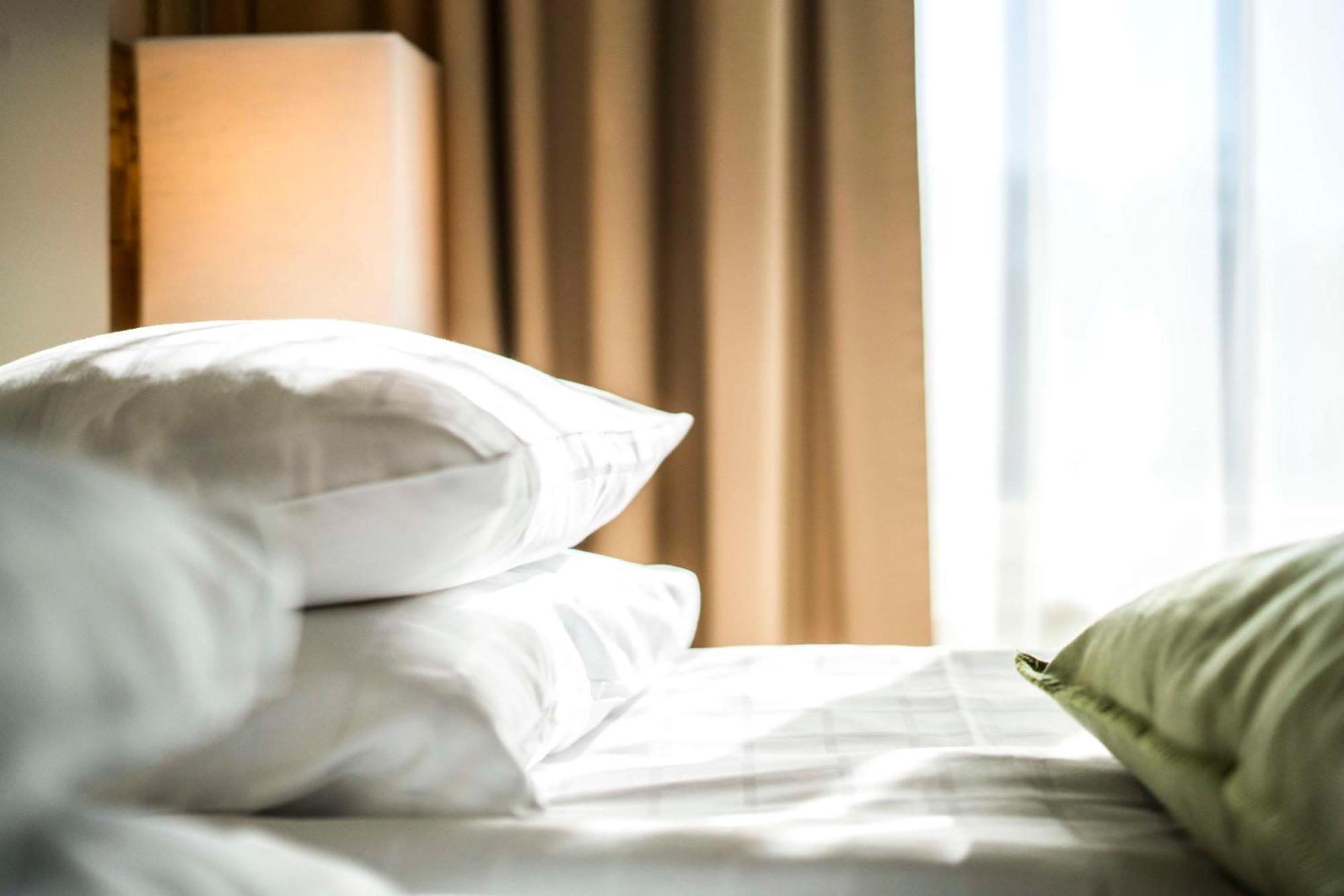 Scandic Waskia Hotel